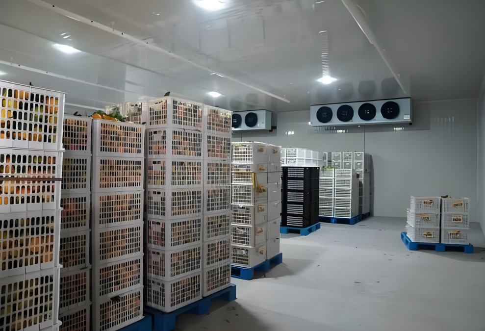 冷庫中貨物堆碼高度有限制嗎，依據(jù)是什么？